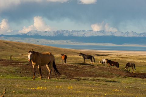 Colors of Kyrgyzstan