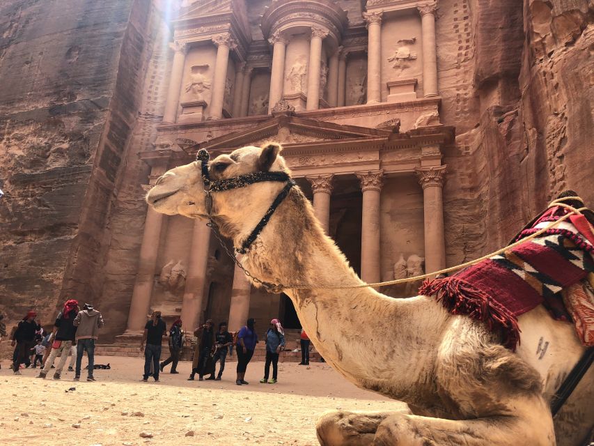 Explore Jordan and Saudi Arabia